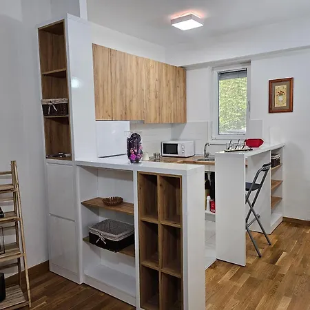 Stefanoski Apartments: Family Appartamento Skopje